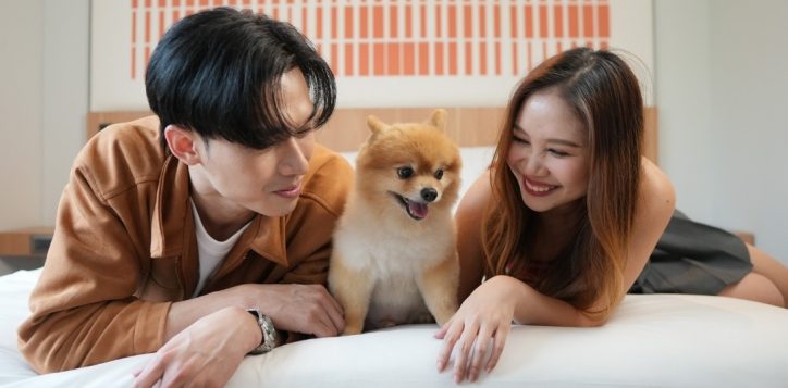 pet-friendly-hotel-in-chiang-mai