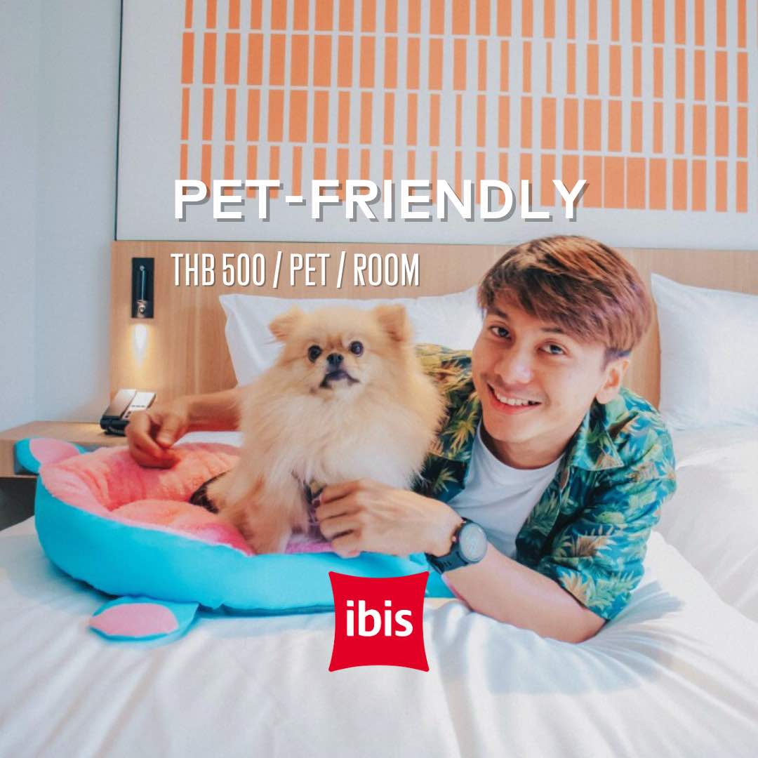 โรงแรม pet-friendly เชียงใหม่