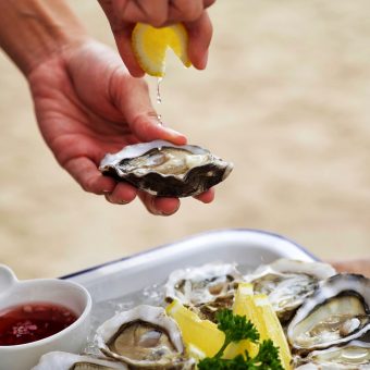 tuesday-1-oysters
