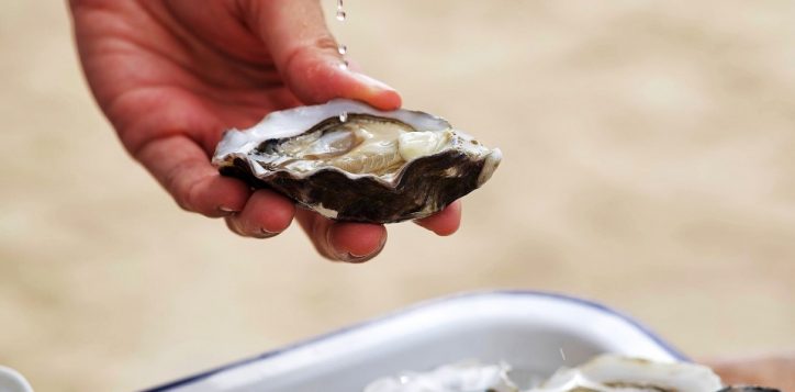tuesday-1-oysters