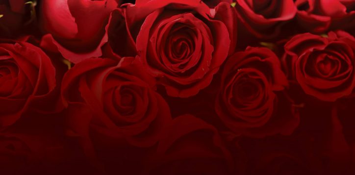 je-t-aime_cover-web-2