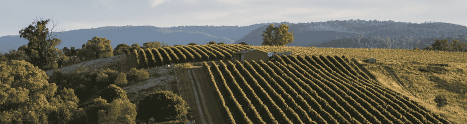 king-valley-wine-dinner