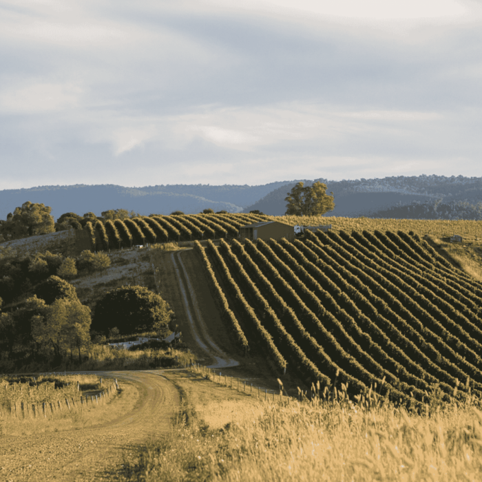 king-valley-wine-dinner