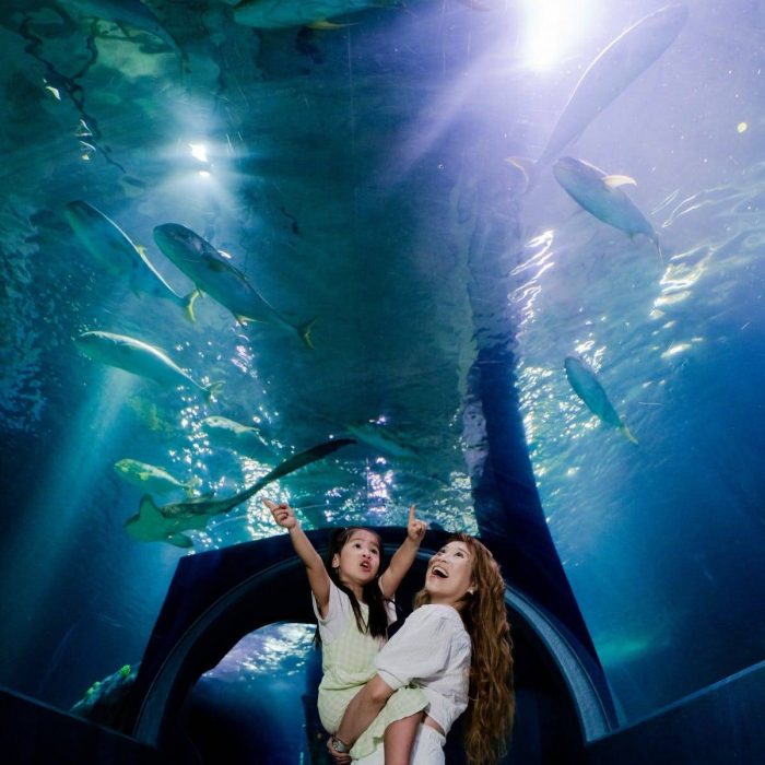 sea-life-melbourne