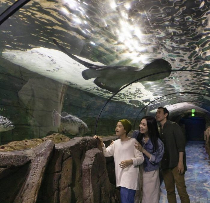 sea-life-sydney