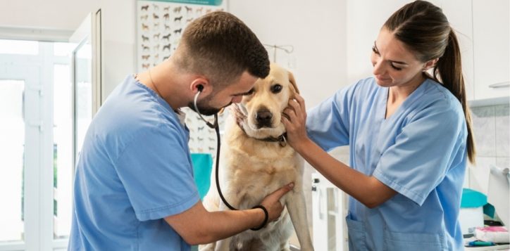 australian-vet-conference-2027