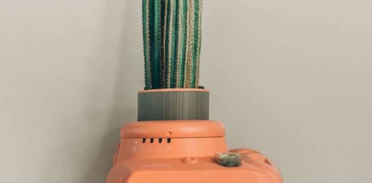 cactus-in-orange-polaroid