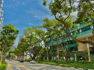 singapore-management-university