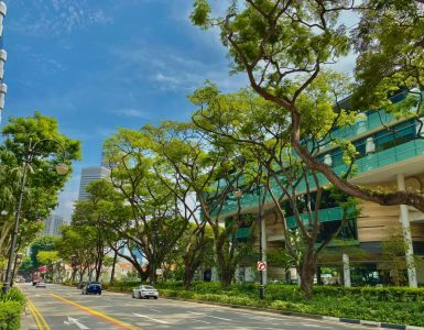 singapore-management-university