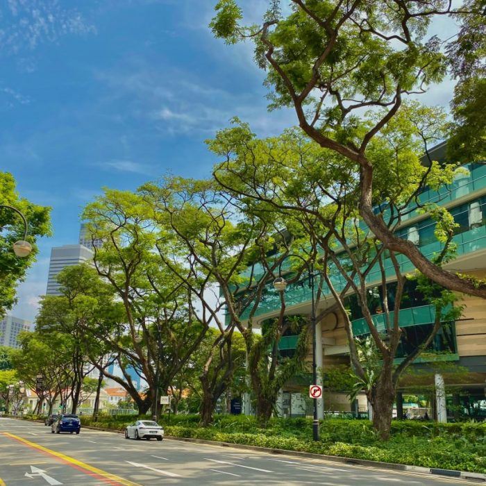 singapore-management-university