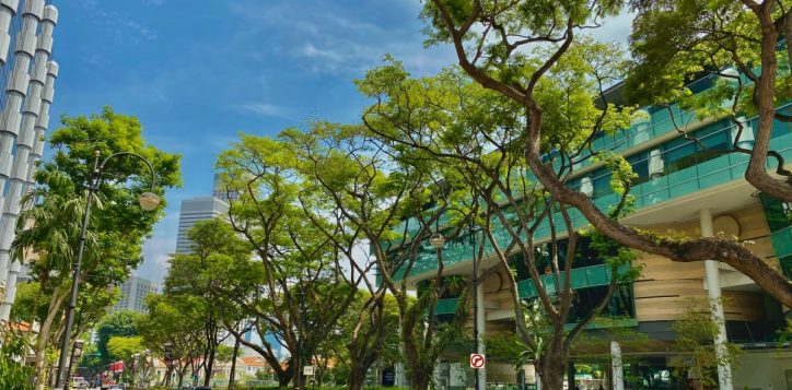 singapore-management-university