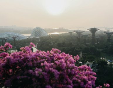 discover-the-floral-seasons-of-gardens-by-the-bay