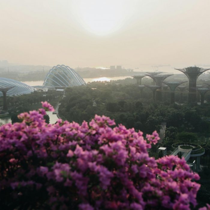 discover-the-floral-seasons-of-gardens-by-the-bay