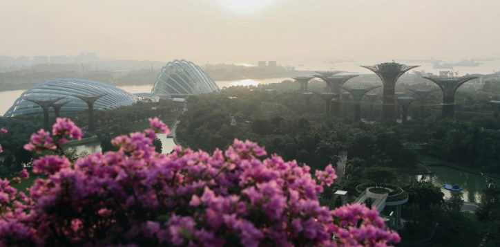 discover-the-floral-seasons-of-gardens-by-the-bay