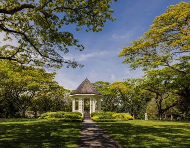 singapore-botanic-gardens