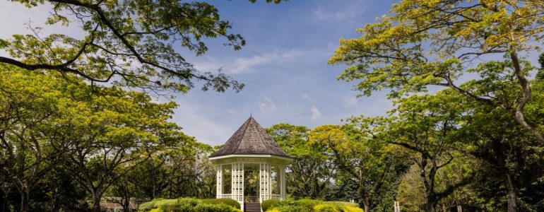 singapore-botanic-gardens