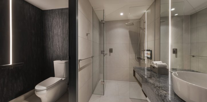 bathroom-toilet-connected-2