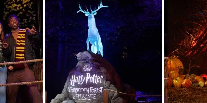 harry-potter-a-forbidden-forest-experience