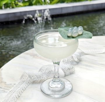 festive-cocktail-ivory-lace