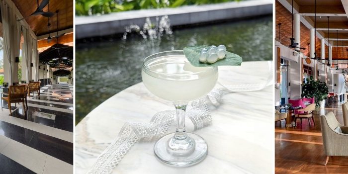 accors-30th-anniversary-cocktail-ivory-lace