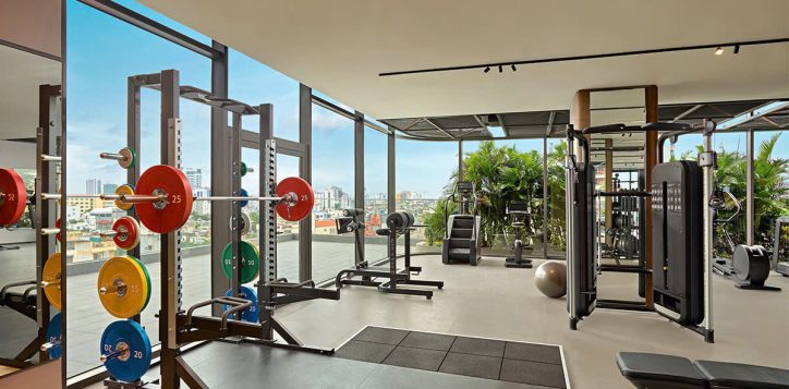 the-hoi-vien-pullman-power-fitness