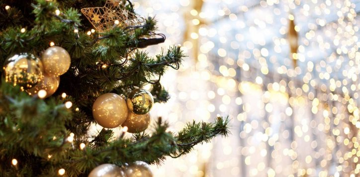 tree-lightning-ceremony-hai-phong