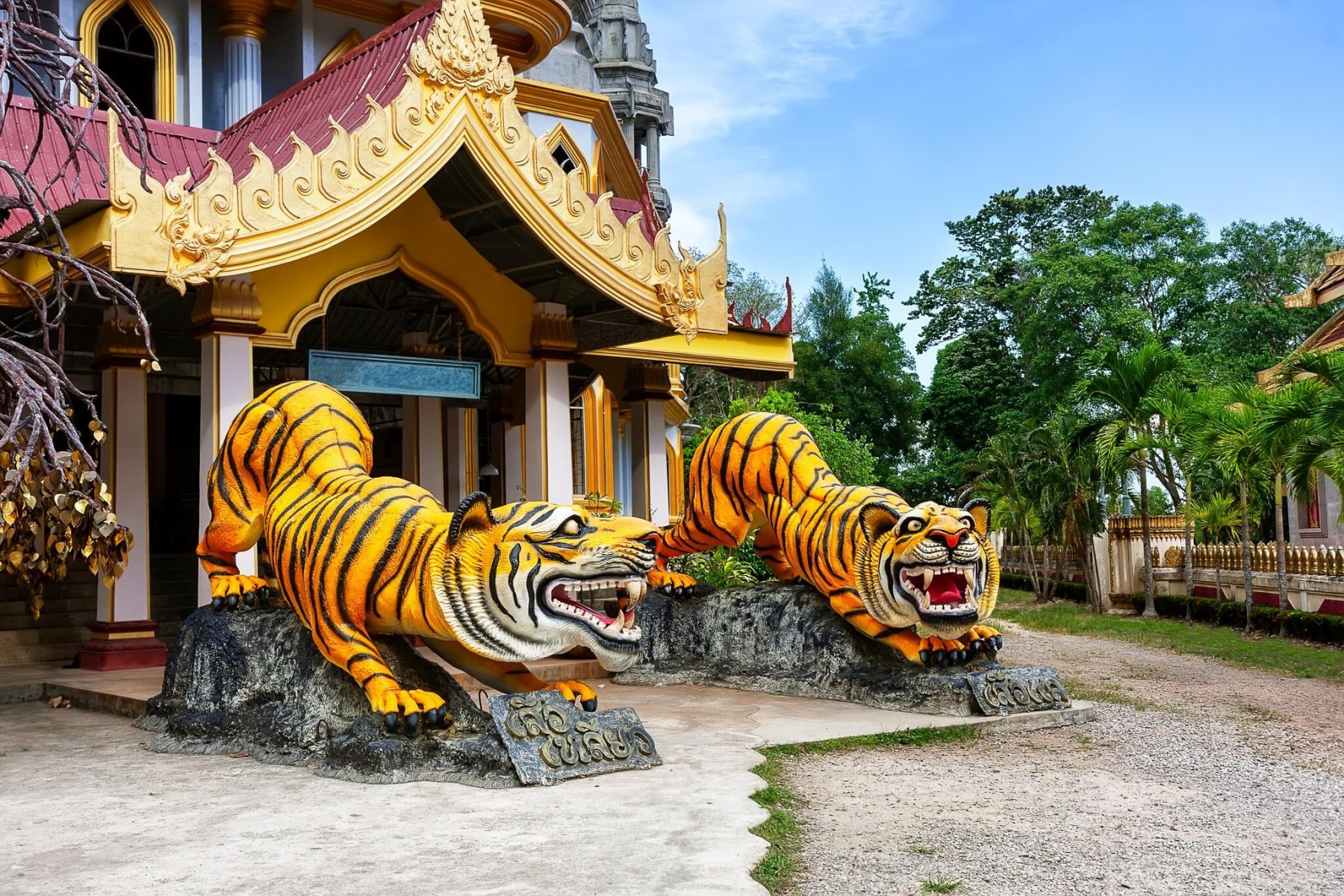 tiger-cave-temple