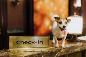 pet friendly hotels - sofitel hotel manila