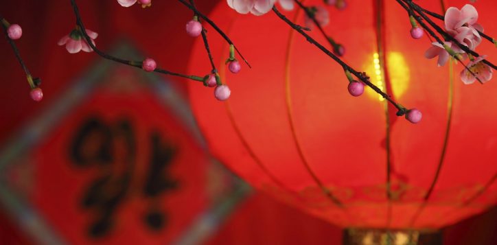chinese-lantern