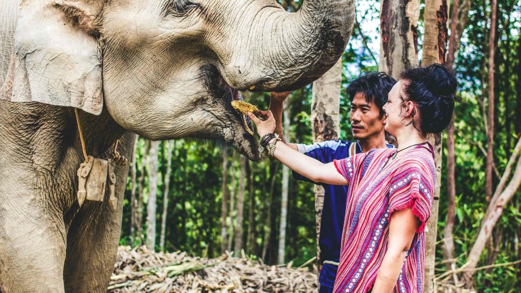 Novotel Phuket Vintage Park - Elephant Jungle Sanctuary