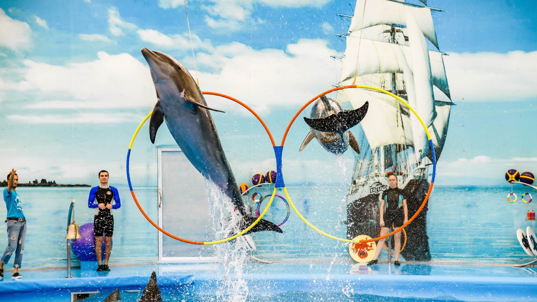 dolphins-bay-phuket