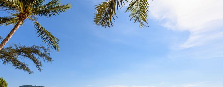 why-novotel-phuket-vintage-park-is-the-perfect-4-star-hotel-near-patong-beach