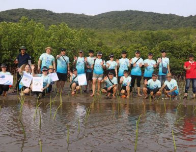 plant-potchring-mangroves-in-dam-bay-khanh-hoa