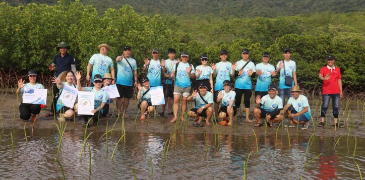 plant-over-1000-mangrove-trees-in-dam-bay