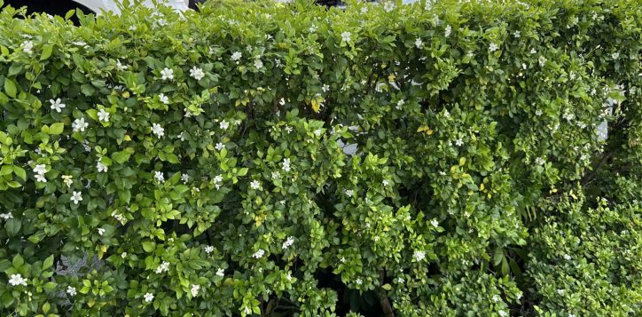 novotel-nha-trang-achieves-green-key-certification