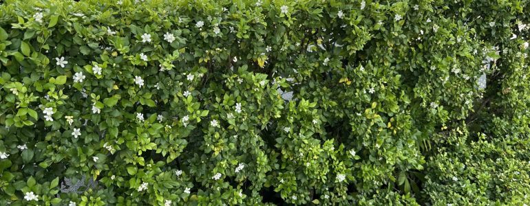 novotel-nha-trang-achieves-green-key-certification