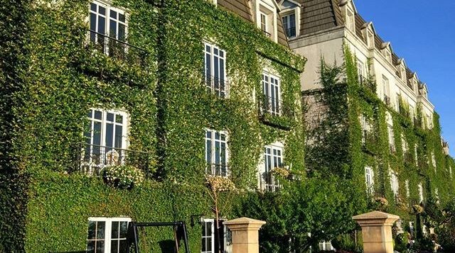 found_14261272_138594