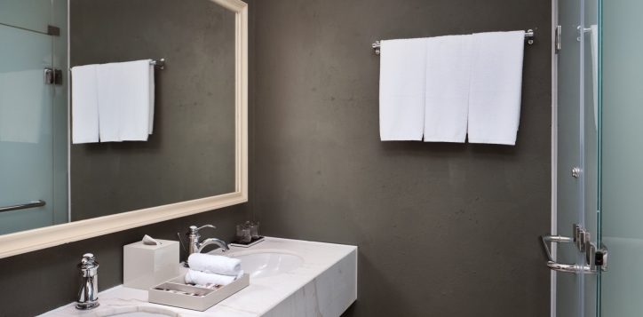 family-delux-bathroom-web