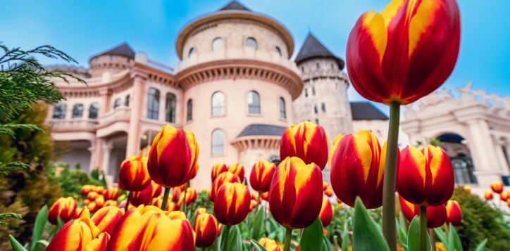 476496344_1538289900343469_8534363391696239381_n