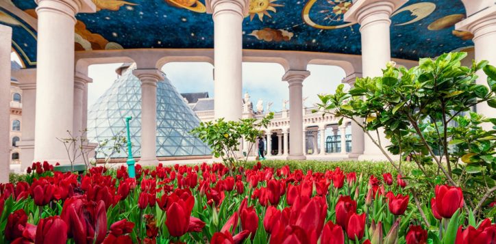 476488288_1538289970343462_5899320578225916738_n