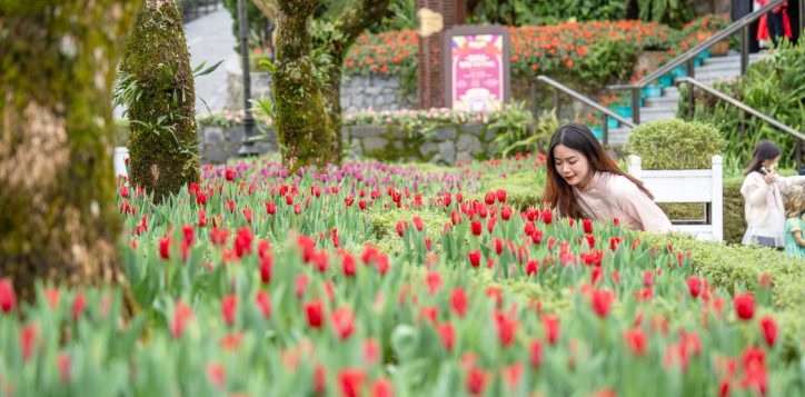 476115368_1538289500343509_6623963517483827703_n