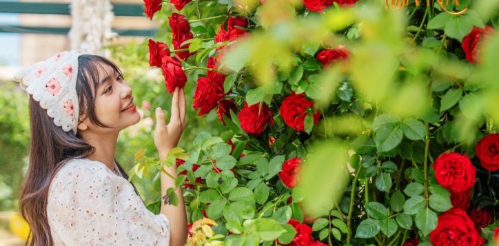 495280045_754958256855626_9215686564208100827_n-3