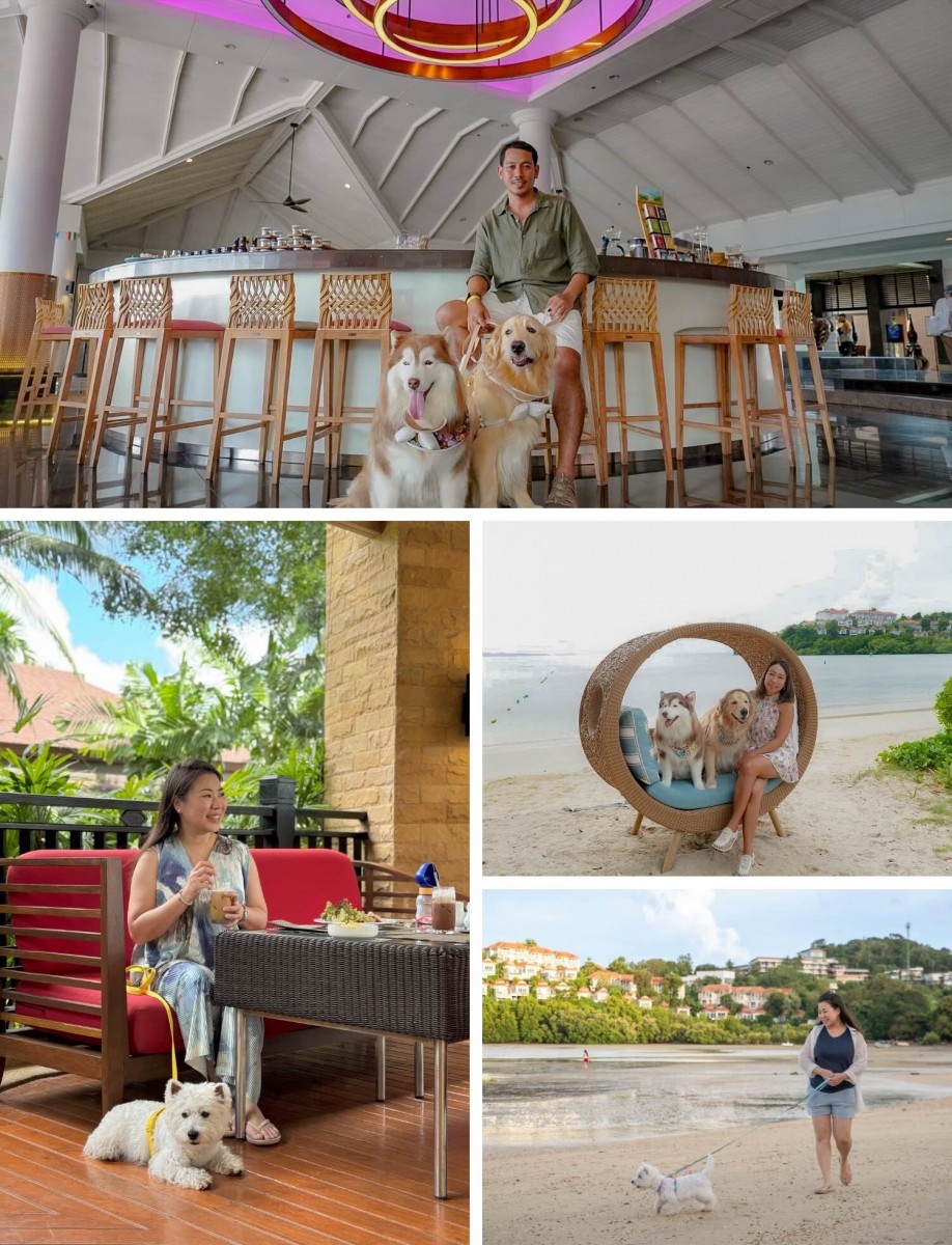 Pet Friendly Hotel in Phuket