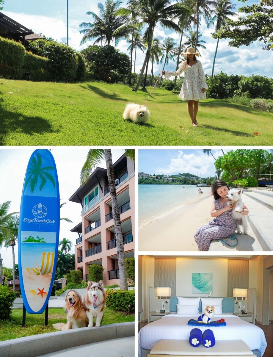 Best Pet Friendly Hotel Phuket