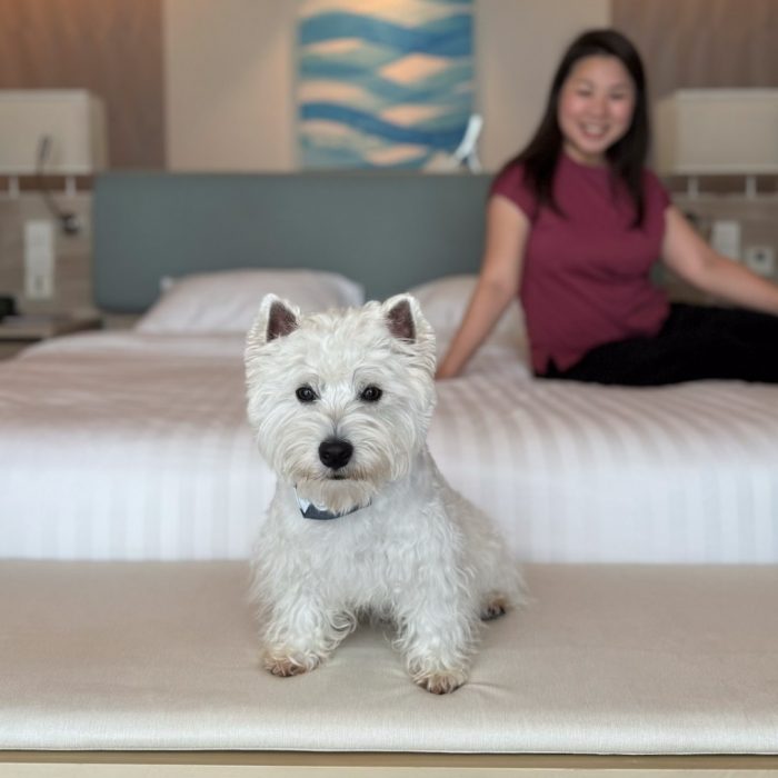 pet-friendly-hotel-phuket