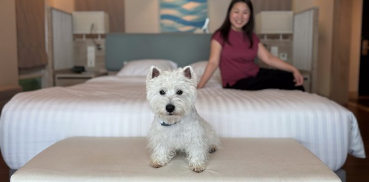 %e0%b9%82%e0%b8%a3%e0%b8%87%e0%b9%81%e0%b8%a3%e0%b8%a1%e0%b8%aa%e0%b8%b1%e0%b8%95%e0%b8%a7%e0%b9%8c%e0%b9%80%e0%b8%a5%e0%b8%b5%e0%b9%89%e0%b8%a2%e0%b8%87%e0%b9%80%e0%b8%82%e0%b9%89%e0%b8%b2%e0%b8%9e