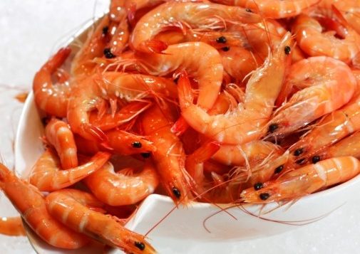 seafood-buffet-in-bangkok-505x505-10