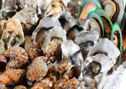 seafood-buffet-in-bangkok-505x505-11