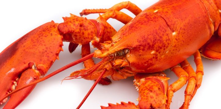 best-seafood-buffet-in-bangkok