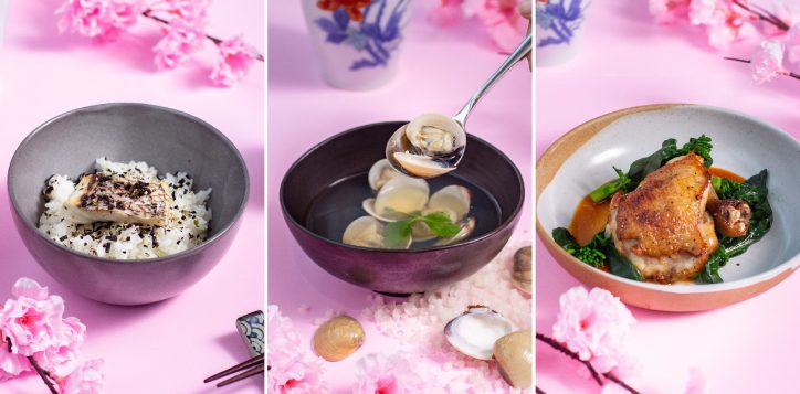 japanese-dinner-set1-2